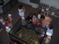 foto19